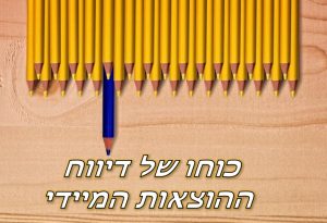 דיווח הוצאות
