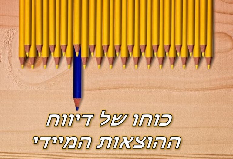 דיווח הוצאות