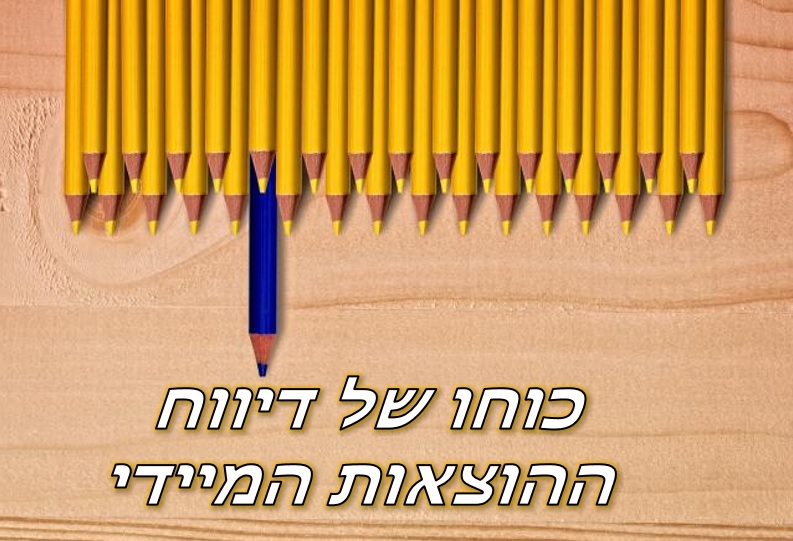 דיווח הוצאות